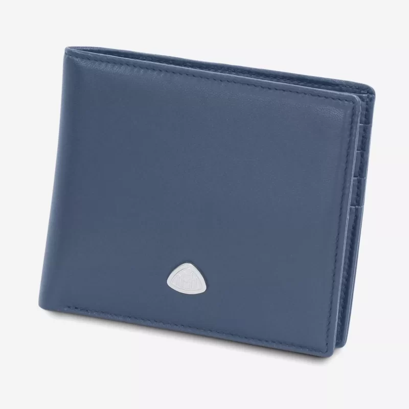 THE TREASURER VII